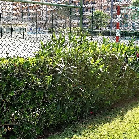 Sol Da Rocha Penthouse By Sunny Deluxe Apartament