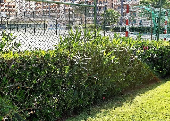 Sol Da Rocha Penthouse By Sunny Deluxe Lägenhet